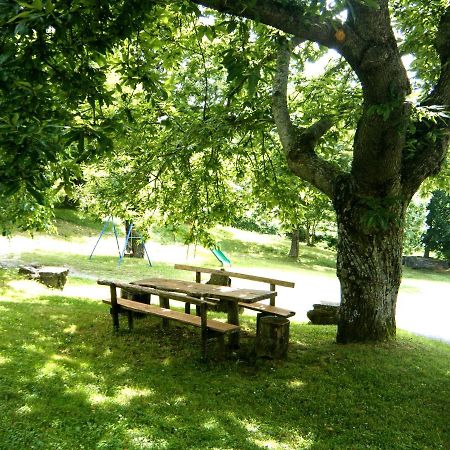 Agriturismo Ombianco Seggiano Exteriér fotografie