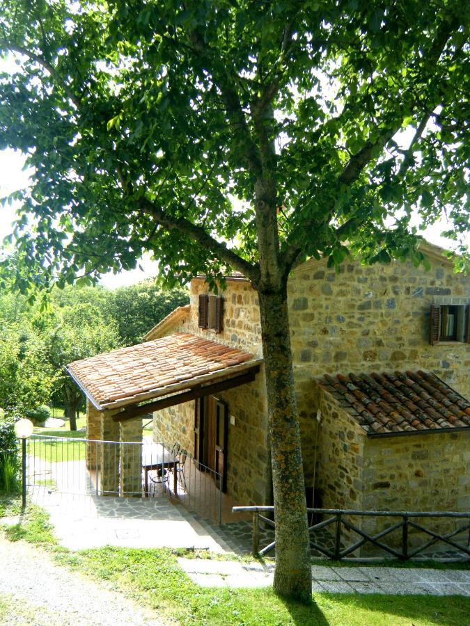 Agriturismo Ombianco Seggiano Exteriér fotografie