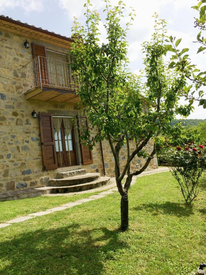 Agriturismo Ombianco Seggiano Exteriér fotografie